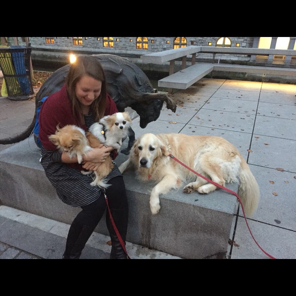 Meet your Posher, Hannah